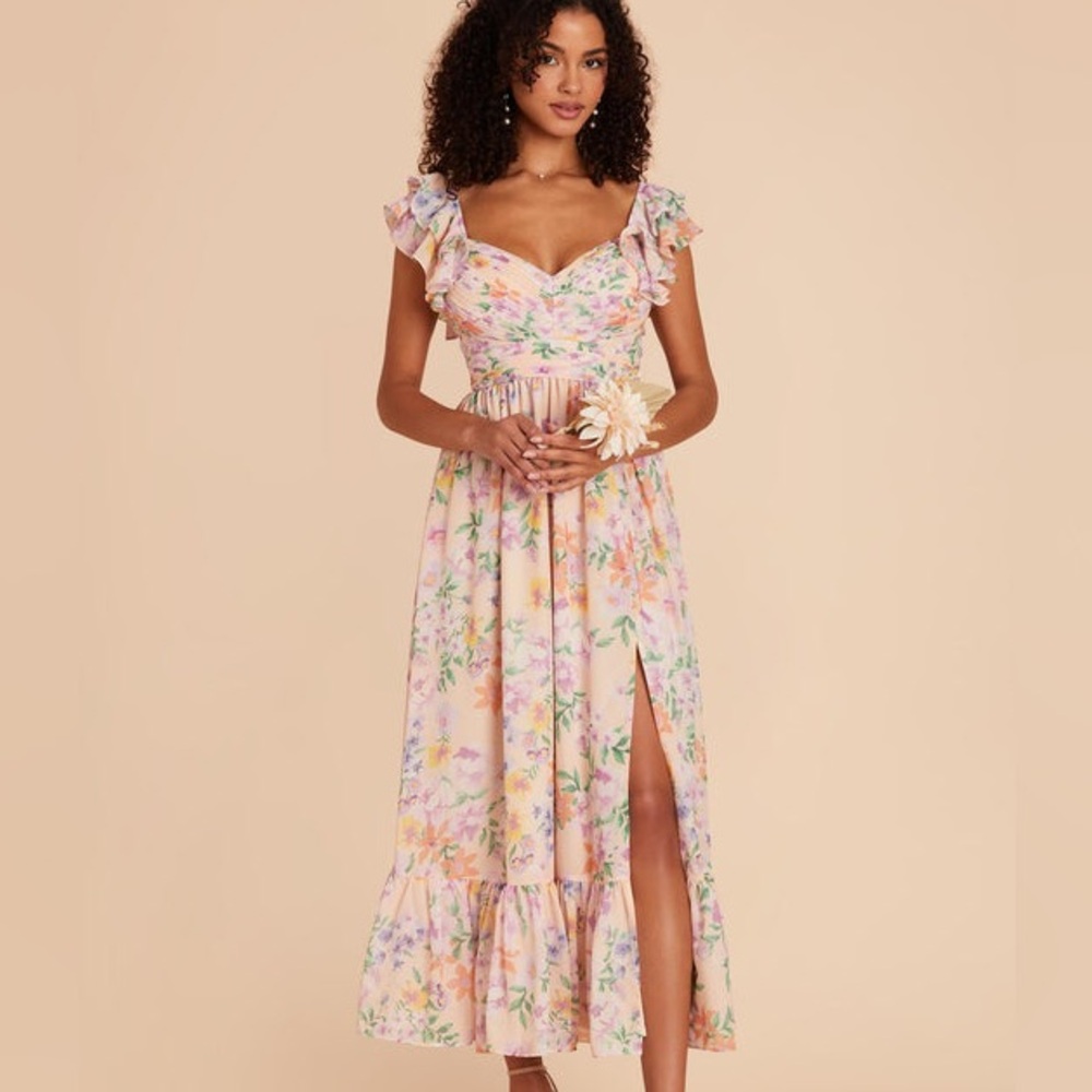 Birdy Grey -Michelle Dress - Botanical Blossoms - Size Small - EUC